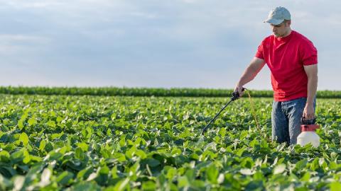 Glyphosate Cancer Lawsuit Against Monsanto Roundup